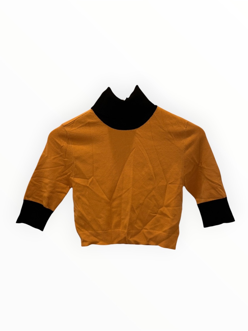Victor Glemaud Cropped Contrast Turtleneck - Cafe Au Latte
